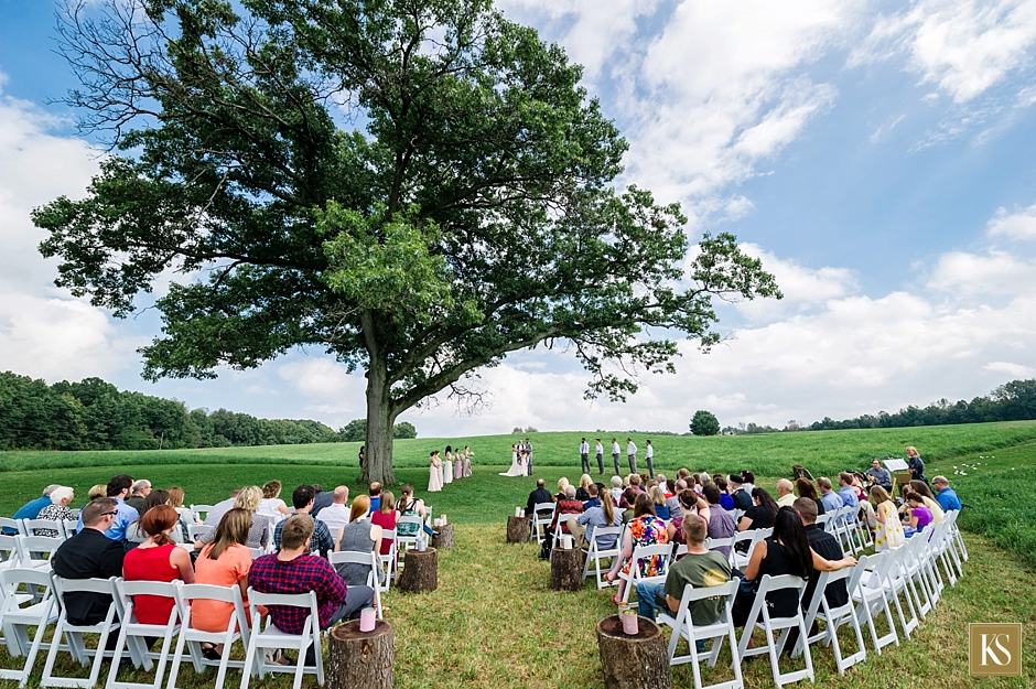 Wedding tree, www.kelliesaunders.com